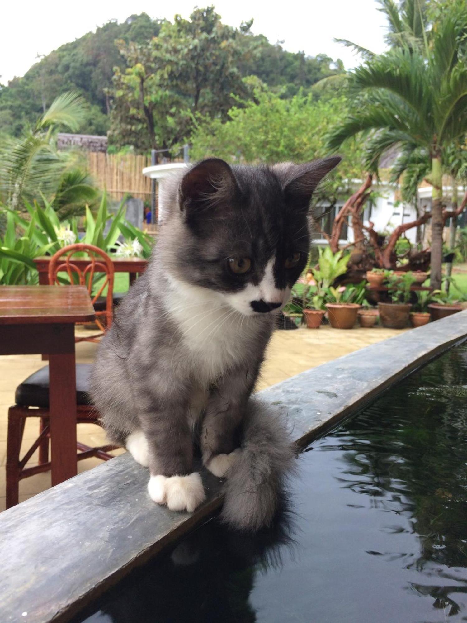 Yao Yai Beach Resort Ko Yao Yai Bagian luar foto